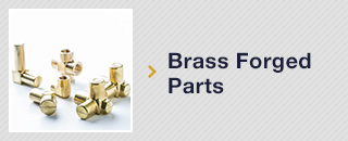 Brass Forged Parts